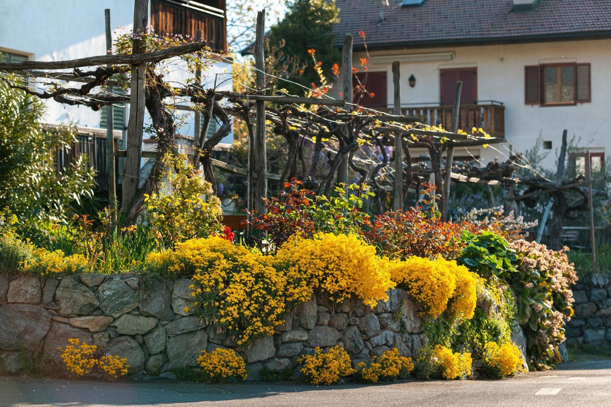 Ferienwohnungen St Hippolyt Mit Hallenbad Lagundo Bagian luar foto