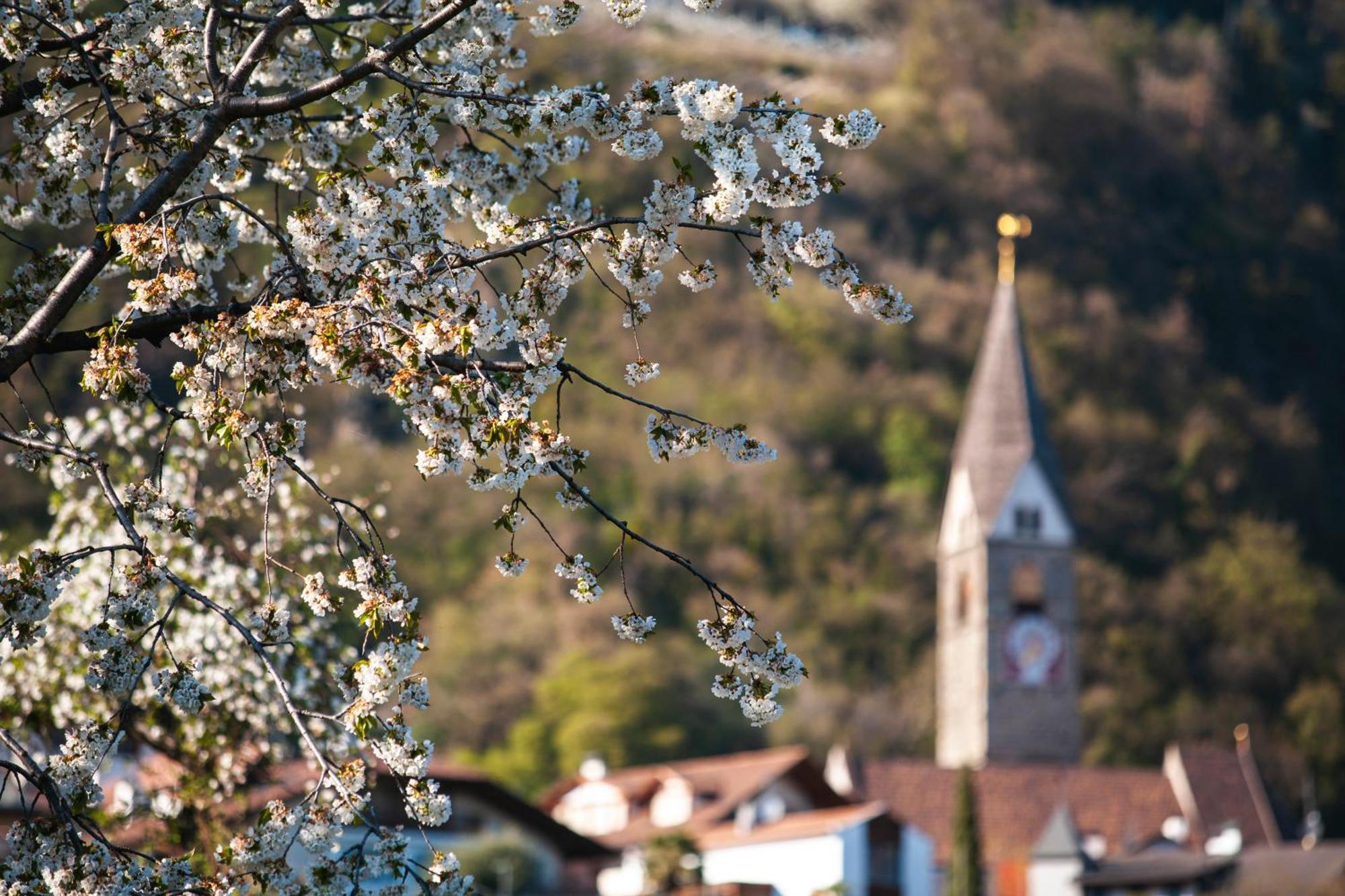 Ferienwohnungen St Hippolyt Mit Hallenbad Lagundo Bagian luar foto